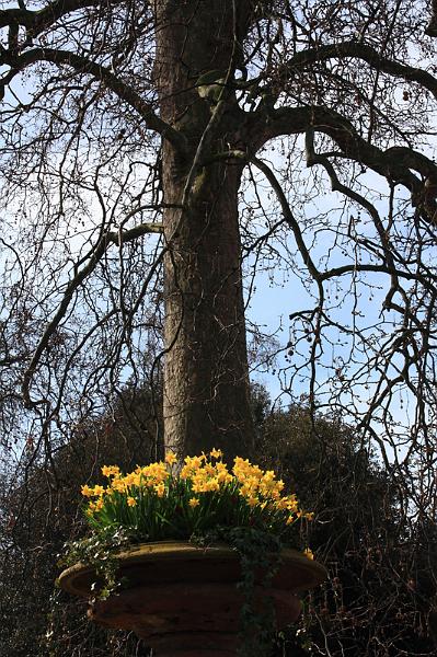 122-Hyde Park,6 aprile 2010.JPG